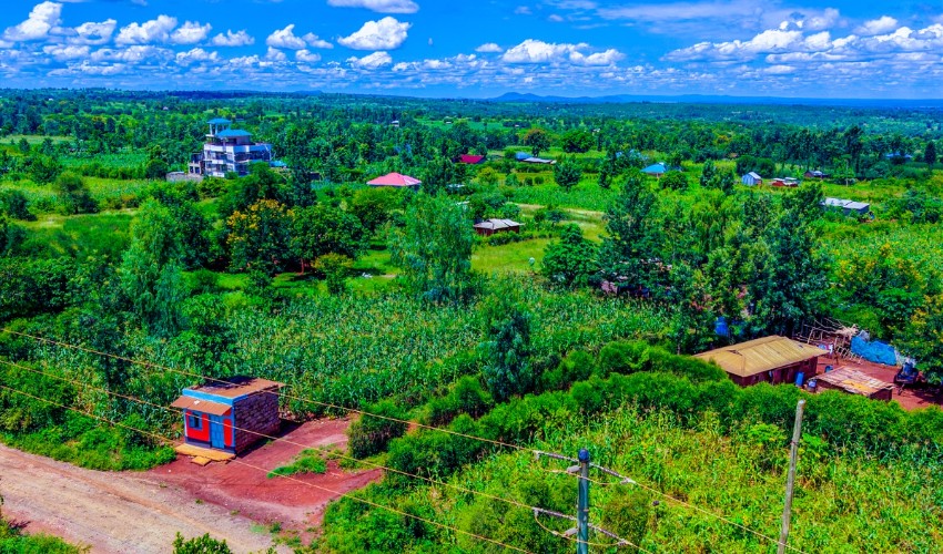 Eden Gardens Phase 5 0