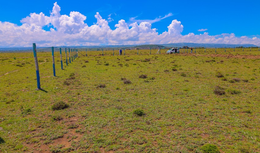 Naivasha Breeze Phase 4 1