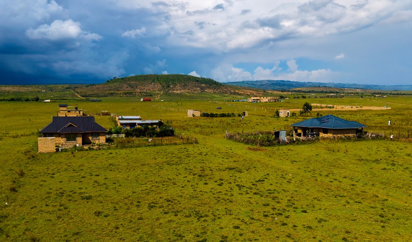 Naivasha Breeze Phase 4