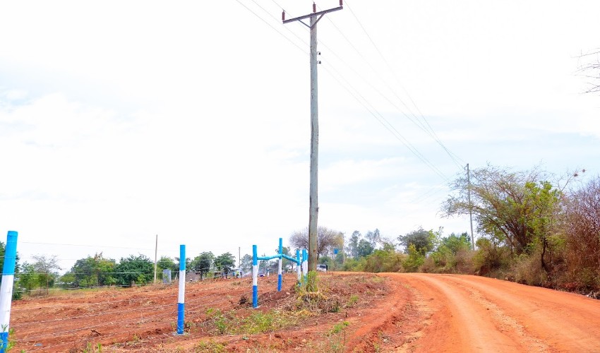 Zuri Gardens Phase 2 0